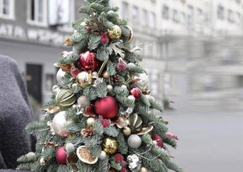 Decoruri florale magice pentru Crăciun – doar la OkFlora