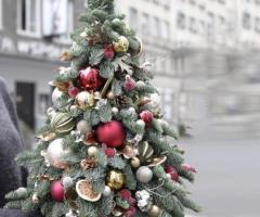 Decoruri florale magice pentru Crăciun – doar la OkFlora