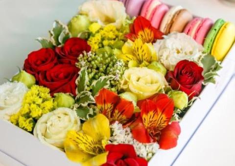 Cele mai frumoase flori de primăvară, livrate oriunde în Moldova