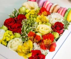 Cele mai frumoase flori de primăvară, livrate oriunde în Moldova